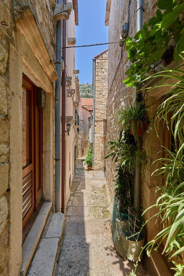 Apartma Hedera Estate Hedera A6 Dubrovnik